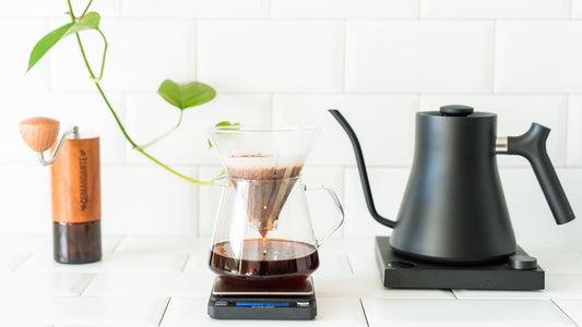 Die Kunst des Handfilterns: Perfektioniere deinen Kaffee mit dieser Anleitung - Nordlicht Kaffee